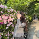 さ く らのプロフィール画像