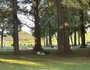 西山 未祐のプロフィール画像