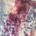 YUUNA MIZUNOのプロフィール画像