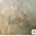 長野 桃佳のプロフィール画像