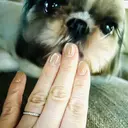 【モデル募集中】 🕊️Yayoiのプロフィール画像