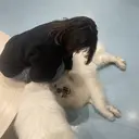 anocharm _annaのプロフィール画像