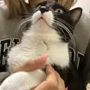 日笠山 優美のプロフィール画像