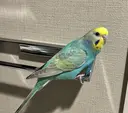 田中 もえのプロフィール画像