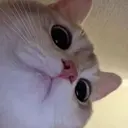 若林 瑠咲花EYELAのプロフィール画像