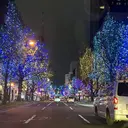 山本 來羽のプロフィール画像