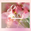 SOl🎀韓国eye lash🇰🇷博多のプロフィール画像