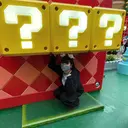 Tanaka Junのプロフィール画像