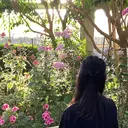 Akari 小顔カット💐のプロフィール画像