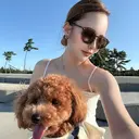 Lima/ Airi🤍のプロフィール画像