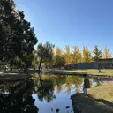 popoのエステ 小牧店のプロフィール画像