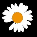 岩井 優希のプロフィール画像
