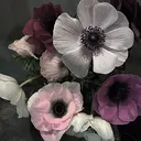 eye mor. 片山のプロフィール画像