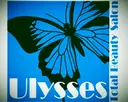 Ulysses 🌈 Ulyssesのプロフィール画像