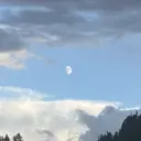 ダンビーニャム サロールのプロフィール画像