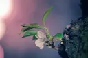 南羽 綾子のプロフィール画像
