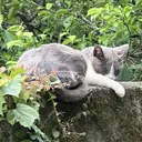 りぃ Rian飯能店のプロフィール画像
