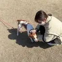 kiruna yumiのプロフィール画像