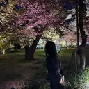 Vante NANAMIのプロフィール画像
