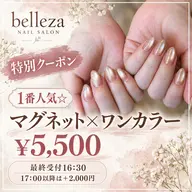 【特】一番人気★マグネットネイル|ワンカラー ¥5,500 ※最終受付16:30※