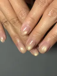【オフあり】マグネットワンカラー