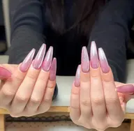 チップのマグネイド