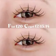 フラットラッシュ120本