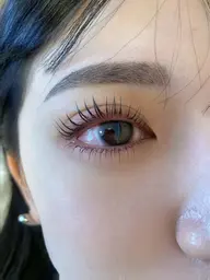 パリジェンヌラッシュリフト上下