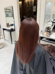 【11月以降】🌻ワンカラー🌻