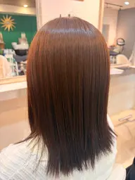 カット+ワンカラー+2stepトリートメント