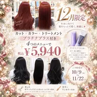 【12月限定🎄豪華特典付き♡】カット+カラー+トリートメント+プラチナムプラス🎁