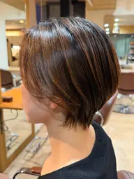 ショートカット レディースカット