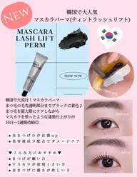 韓国で大流行☆マスカラパーマ、まつ毛パーマ×ブラックティント上¥4980