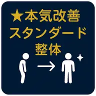 ☆本気改善☆【スタンダード整体】慢性症状を根本から整えたい方へ(約40分)