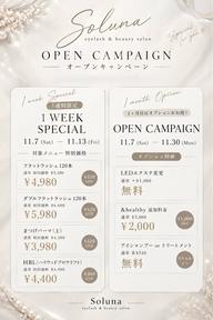 【OPEN記念🌼11/7~11/13限定】フラットラッシュ120本