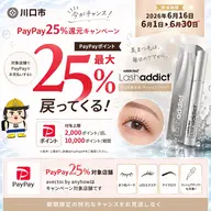 ⭐️ラッシュアディクト⭐️paypay支払いで25%還元キャンペーン中!