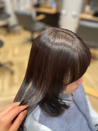 【平日レディース限定】カット+リタッチカラー+マルチケアトリートメント（ブリーチなし）
