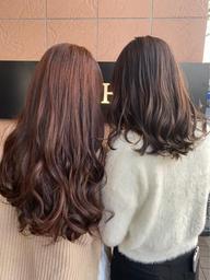 【平日限定】🔸カット＋フィヨーレカラー🔸【おしゃれ染】※ロング料金別