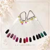 【期間限定✨️】オフ無し🈚️シェラック💗※フットのみ