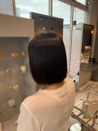 【カット試験モデル】ワンカラー+カット