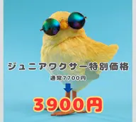 【ジュニアワクサー】女性:ブラジリアンワックス(VIO)※10月限定※