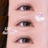 LEDエクステ(オフなし80本or100本)⭐️Cカールのみのご用意です⭐️