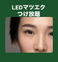 6月限定 LEDマツエク フラットラッシュつけ放題