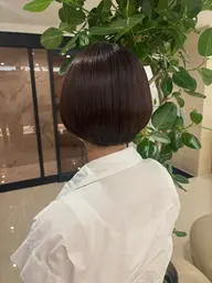 限定価格‼️【スタイリストデビュー記念クーポン✨️】白髪カラー+カット+髪質改善トリートメント🧚🏻🤎