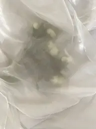 【オフあり】フットお持ち込みデザイン