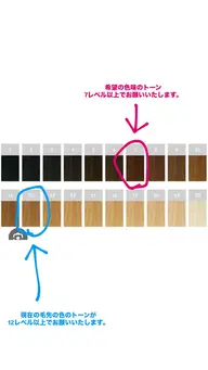 【🎨9/24・ミルボン青山】✨講習ワンカラーモデル募集✨注意⚠️補足説明を必ずご覧ください