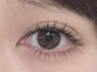 🌱下まつげ🌱 50本まで