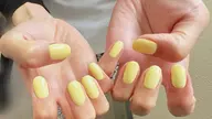ワンカラー(オフあり)