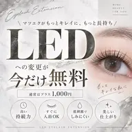 【LED✨️】フラット150本orダブルフラット100束 オフあり