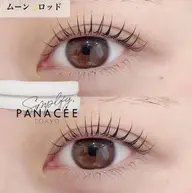 ミニモ限定🐼まつげパーマ＋まゆ毛ワックス